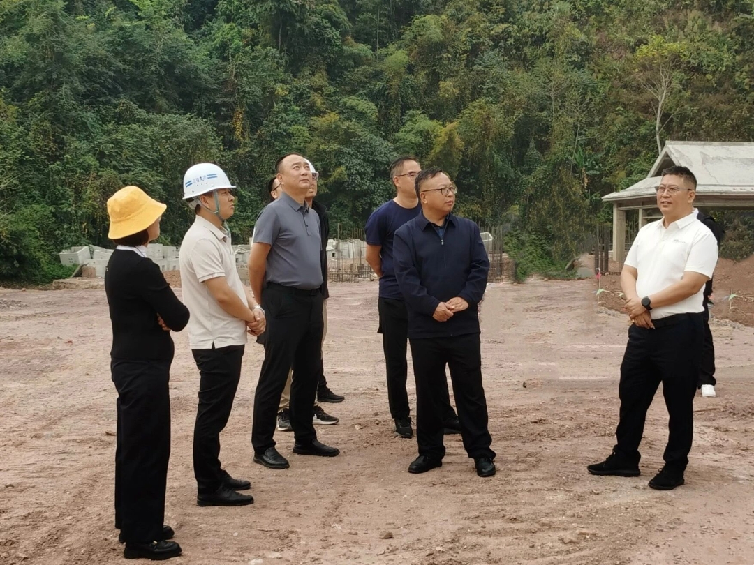 1772067239408795.jpg 33.jpg